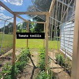 Gardening for eating @ instagram review photo