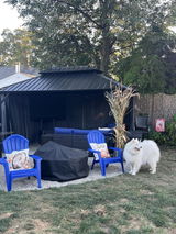 Amazon Customer review photo