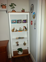 Celso Fisbhen review photo
