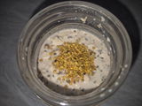 Jaqua2 review photo