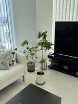 まこと review photo
