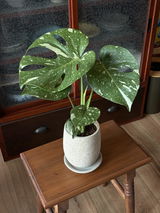 匿名 review photo