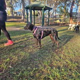 Arabella Askin review photo