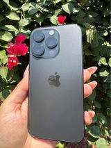 Ana Guzman review photo