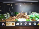 E.C. review photo