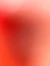 Jobin Kumar P. review photo