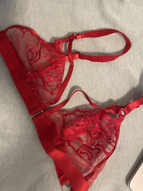 Eos Floral Embroidered Sexy Bralette Red