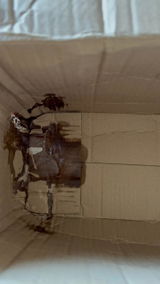 Anônimo review photo