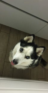 Emilija review photo