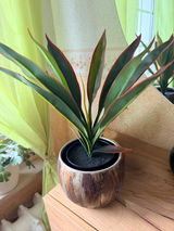 Kerstin review photo