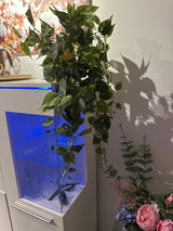 Barbara Ruppe review photo