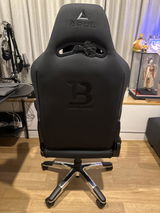 Bernard Tan review photo