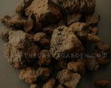 Nugroho Wuckert review photo