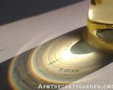 Bryan Bartoletti review photo