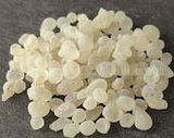 Randal review photo