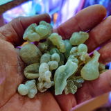 Trisha review photo