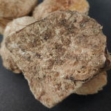 Ashtyn review photo