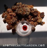 Ora review photo