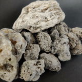 Earnestine review photo