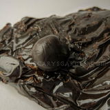 Alejandra review photo