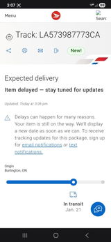 Javid P. review photo
