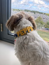 Peppie review photo