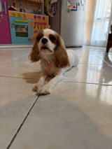 Daniela review photo