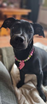 Morgane review photo