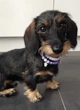 Mieke review photo