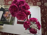 Keri D. review photo