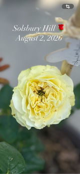 Christine 🌹. review photo