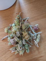 Jutta S. review photo