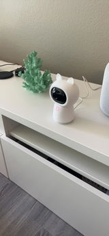 BBarto review photo