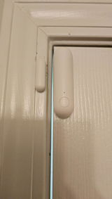 olinga P. review photo