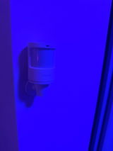 windgone review photo