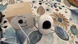 pseudo review photo
