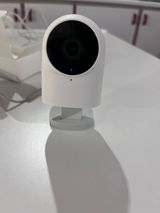 Antonio review photo