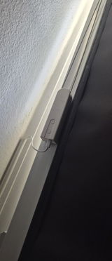 Sasan review photo