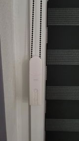 Sascha review photo