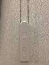 ラガー review photo