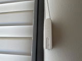Davide B. review photo