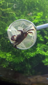 Gabriela H. review photo