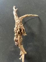 Prabin review photo