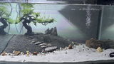 5kg Premium Aquarium Plant Substrate