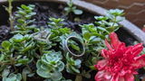 Etsy customer review photo