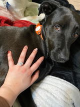 Etsy customer review photo