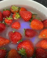 AquaPure - Produce Purifier