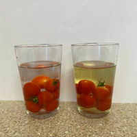 AquaPure - Produce Purifier
