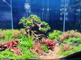 Mikail Khan review photo