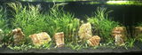 Patrick S. review photo
